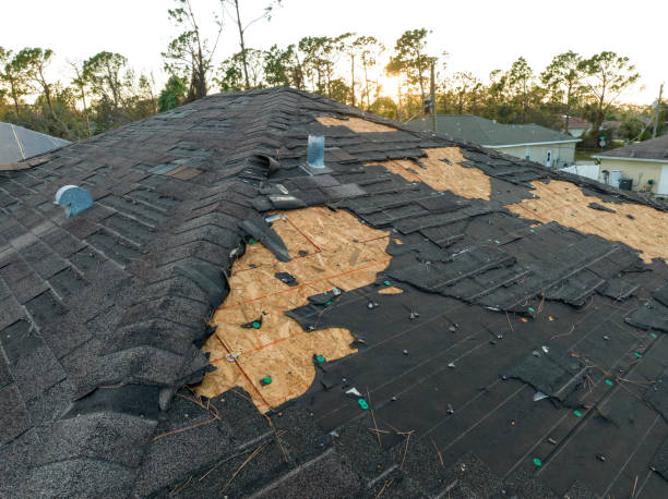 Best Green or Eco-Friendly Roofing Solutions  in Pompano Beach, FL